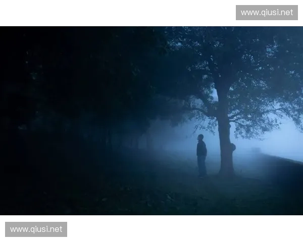 梦靥的诅咒与迷雾之境探秘 解析梦魇使者背后的真实与幻想